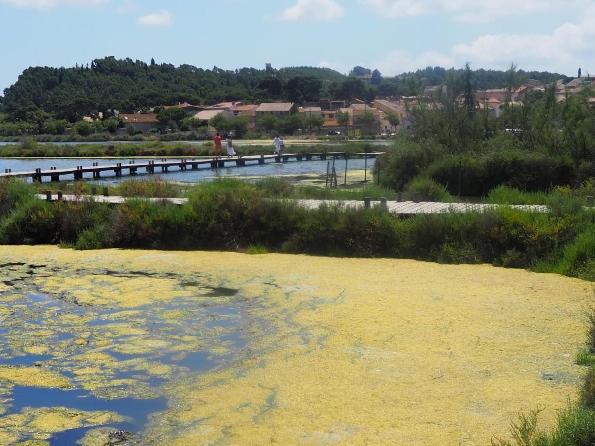 La Closerie Des Iris Castelnau-d'Aude Exteriör bild